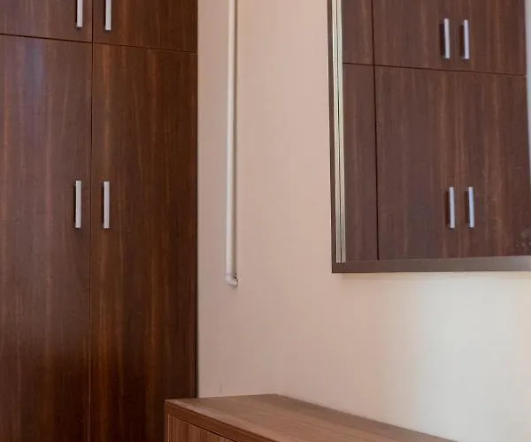 Nema S 1 布拉索夫